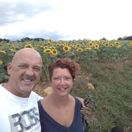 B&B Buddleja Saint-Hilaire-les-Places Exterior foto