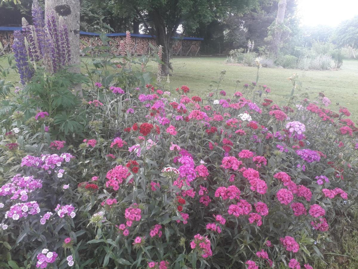 B&B Buddleja Saint-Hilaire-les-Places Exterior foto